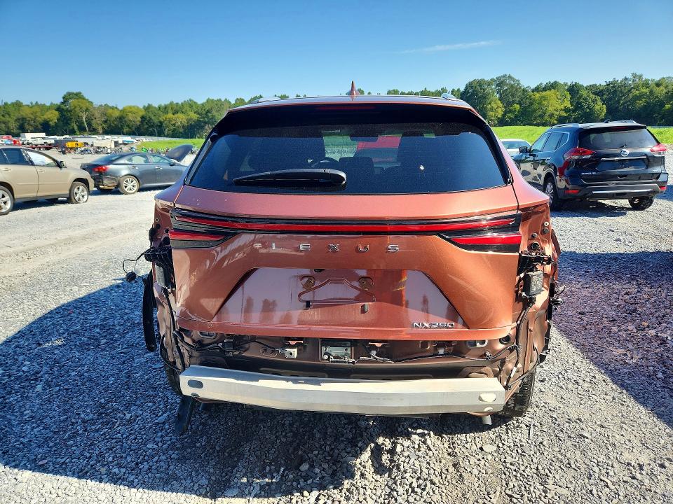 Aukcja sprzedaży 2025 Lexus Nx, vin: 2T2GDCAZ2SC020854, numer aukcji: 66178326