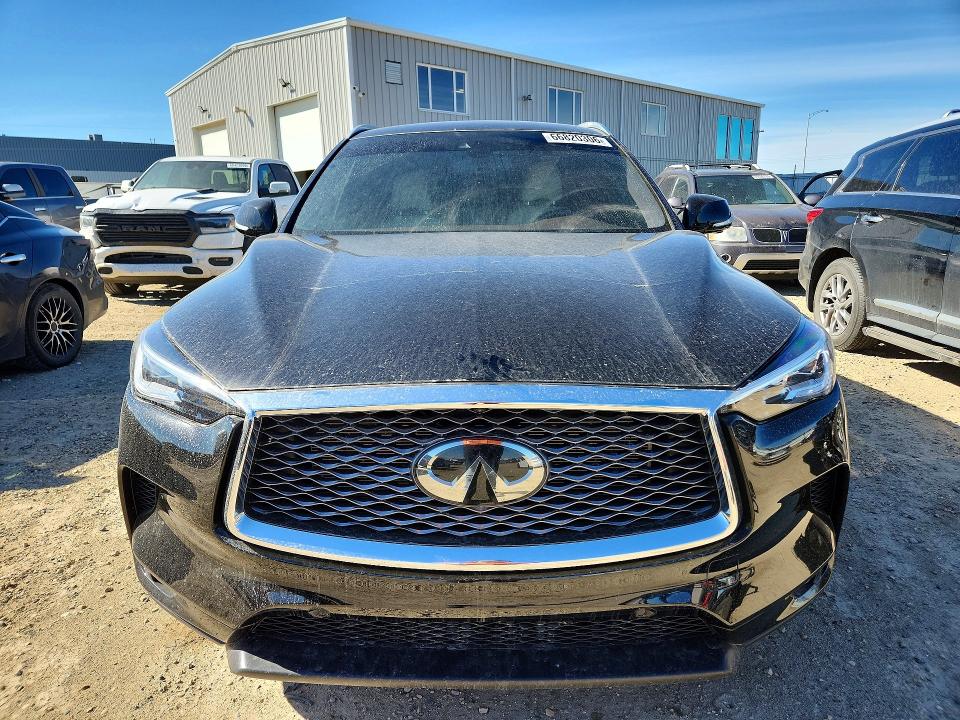 66820306 :رقم المزاد ، 3PCAJ5M33KF126943 vin ، 2019 Infiniti Qx50 مزاد بيع
