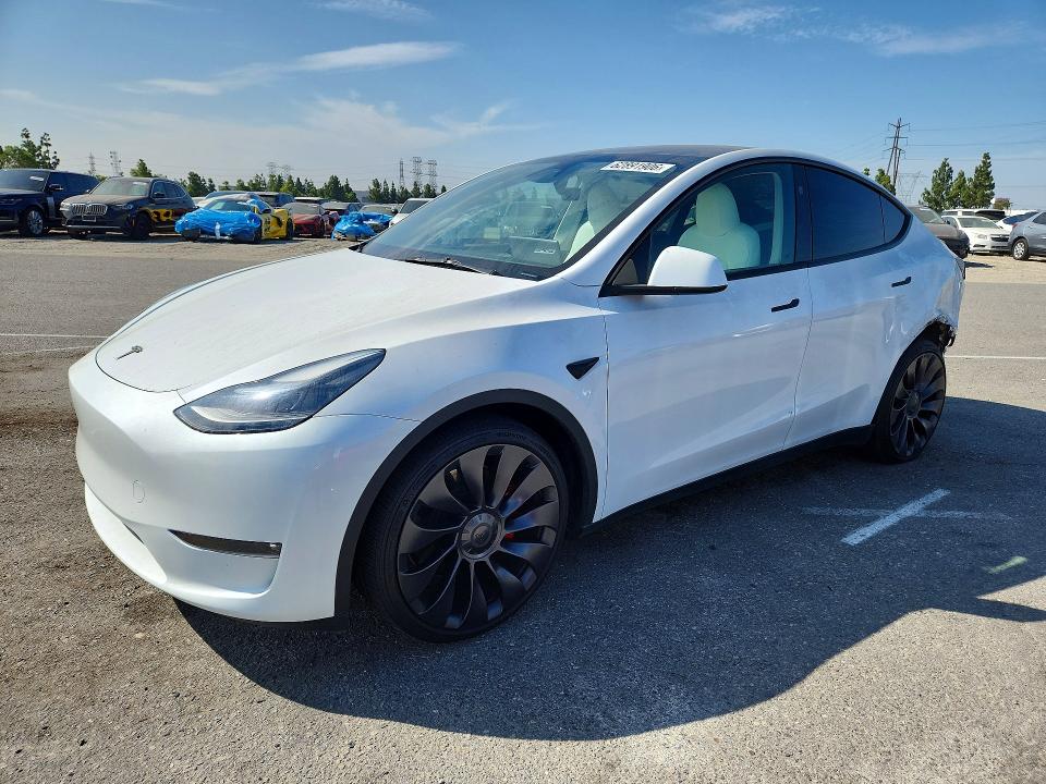 Aukcja sprzedaży 2024 Tesla Model Y, vin: 7SAYGDEF6RF113813, numer aukcji: 62891906