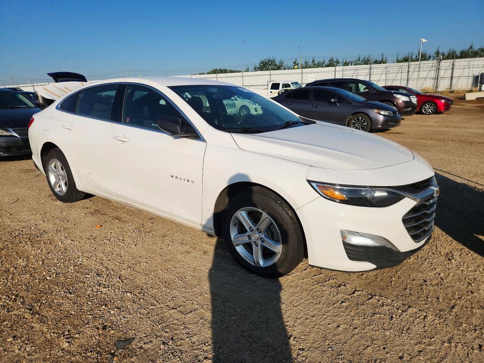64225506 :رقم المزاد ، 1G1ZB5ST9KF222762 vin ، 2019 Chevrolet Malibu مزاد بيع