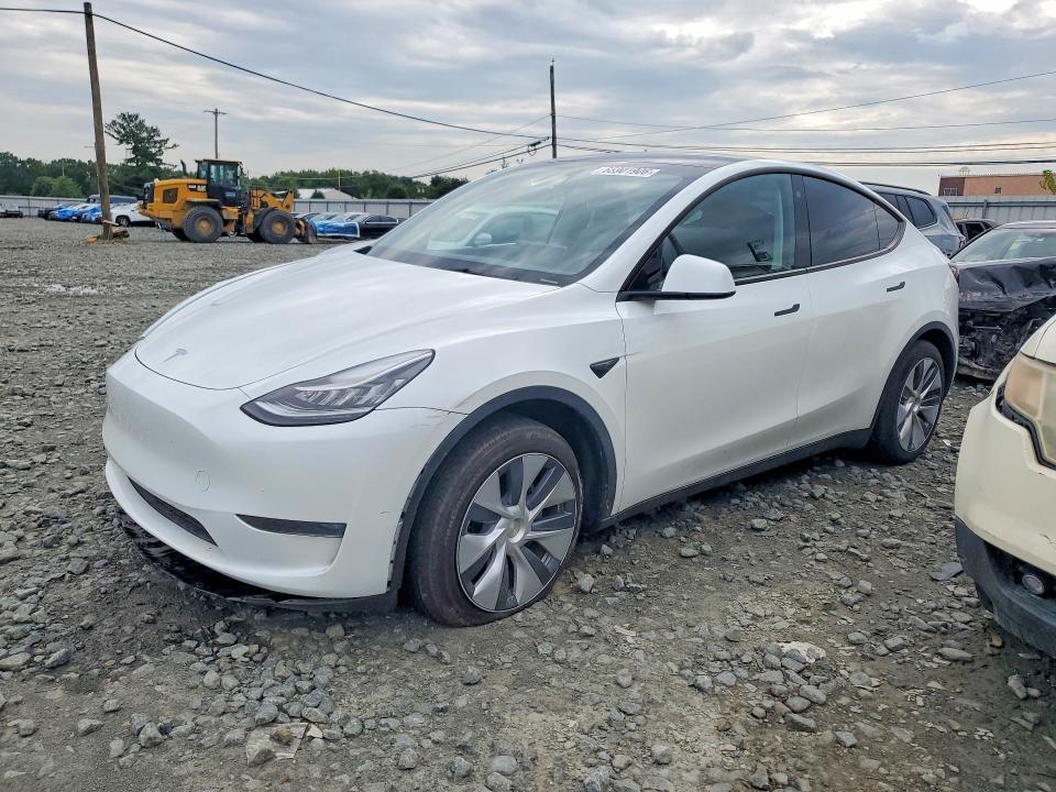 Продажа на аукционе авто 2023 Tesla Model Y, vin: 7SAYGDEE5PA098593, номер лота: 65901906