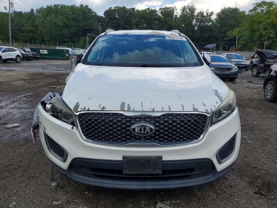 66081746 :رقم المزاد ، 5XYPG4A33GG123094 vin ، 2016 Kia Sorento مزاد بيع