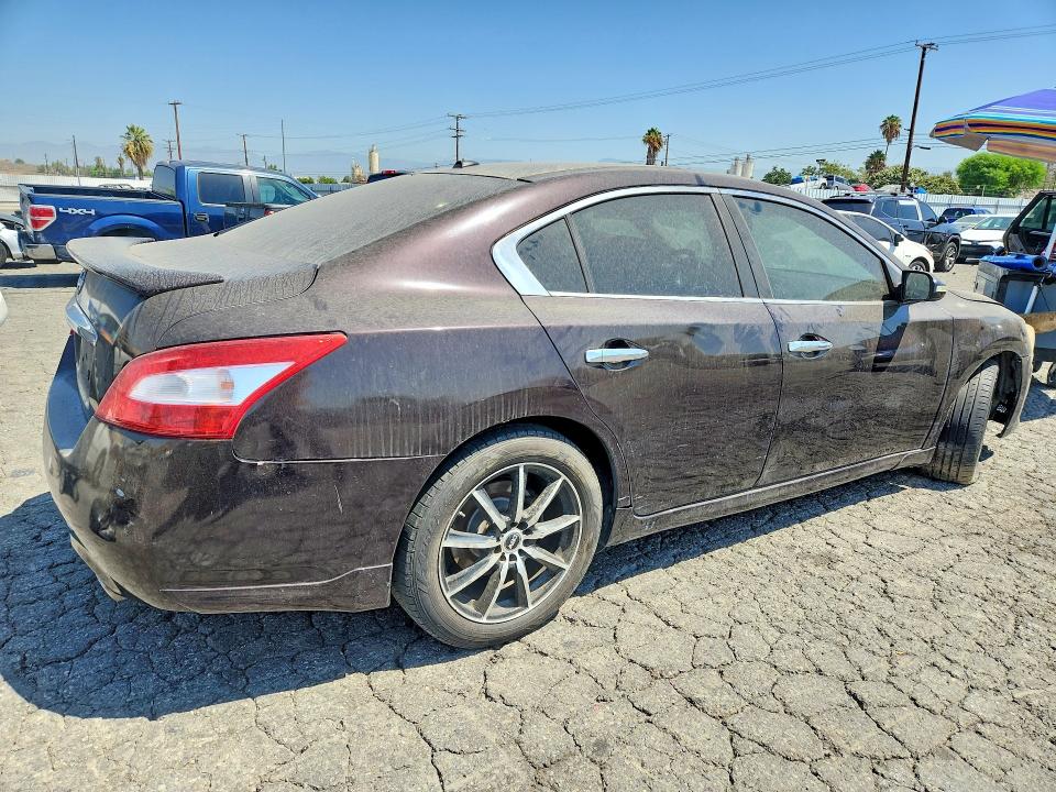 64143696 :رقم المزاد ، 1N4AA5AP1BC836241 vin ، 2011 Nissan Maxima مزاد بيع