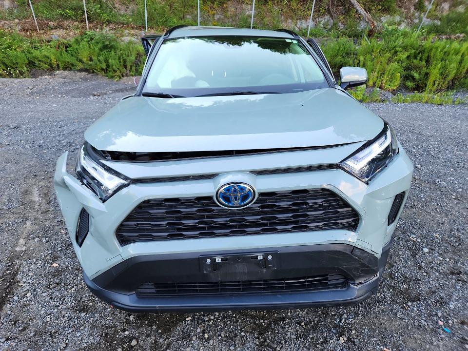 2023 Toyota Rav4 Hybrid მანქანა იყიდება აუქციონზე, vin: JTMRWRFV2PD204153, აუქციონის ნომერი: 65624876