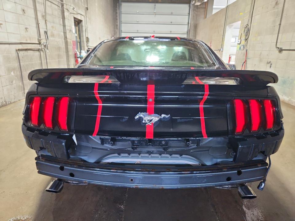 63401106 :رقم المزاد ، 1FA6P8TH3K5116262 vin ، 2019 Ford Mustang مزاد بيع