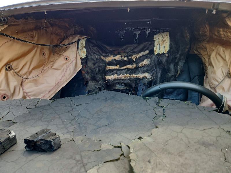 Aukcja sprzedaży 2020 Toyota Tundra, vin: 5TFBY5F15LX921656, numer aukcji: 62253836
