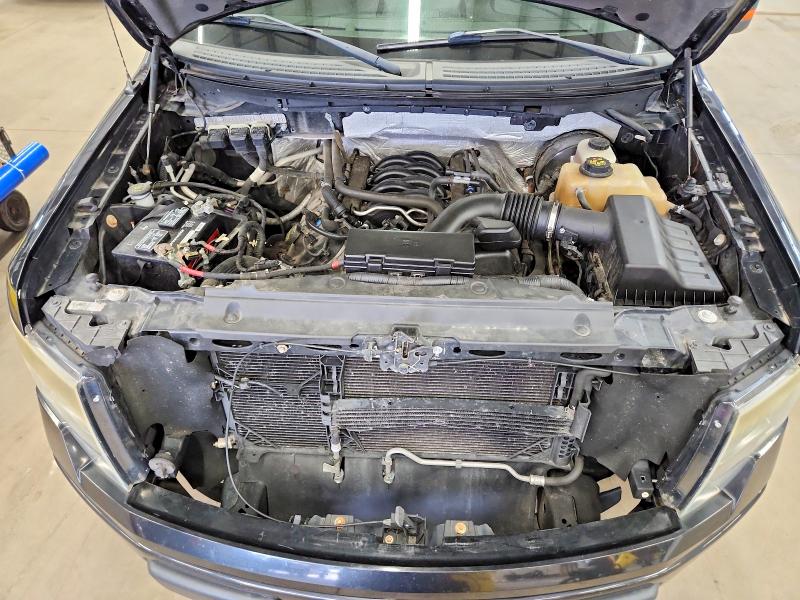 66526676 :رقم المزاد ، 1FTFX1CF8DFA50966 vin ، 2013 Ford F150 مزاد بيع