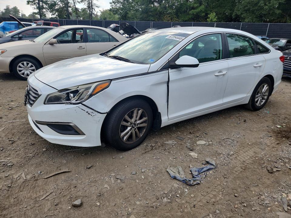 2016 Hyundai Sonata მანქანა იყიდება აუქციონზე, vin: 5NPE24AF3GH304768, აუქციონის ნომერი: 67254446