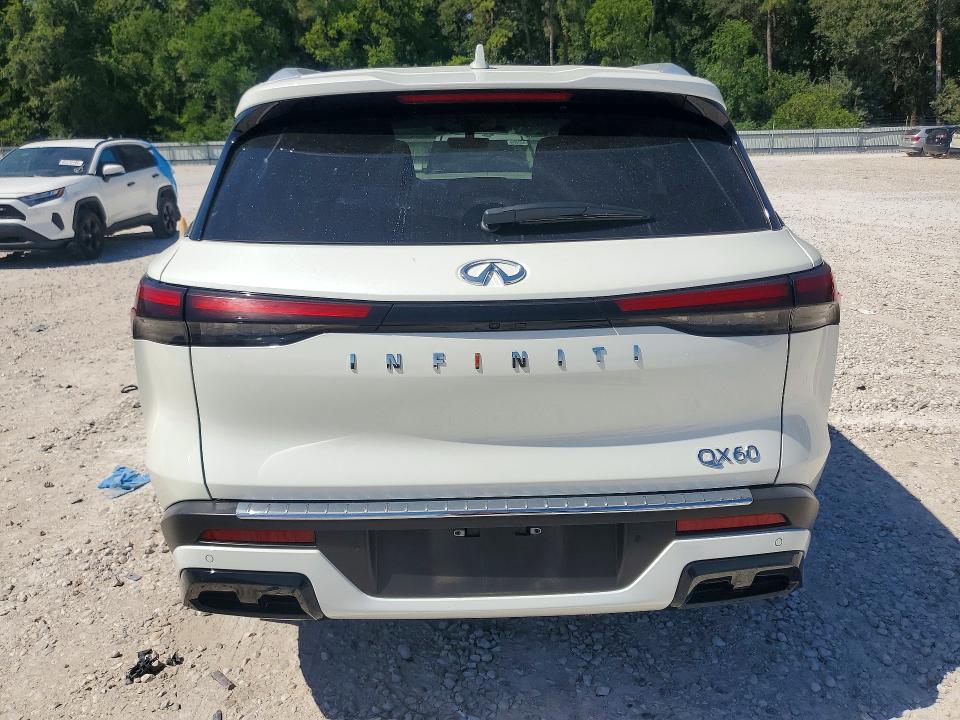 Продаж на аукціоні авто 2023 Infiniti Qx60, vin: 5N1DL1FR8PC370282, номер лоту: 65335176