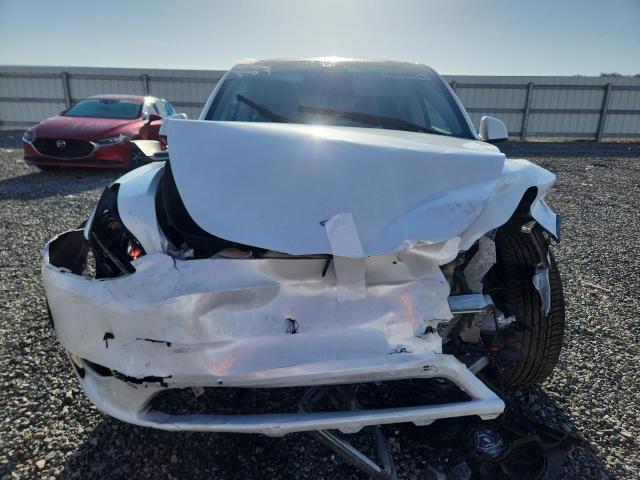 Продаж на аукціоні авто 2023 Tesla Model Y, vin: 7SAYGDEE6PA110959, номер лоту: 66616706