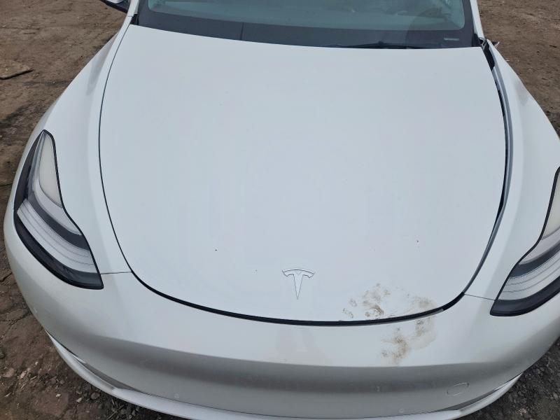 Aukcja sprzedaży 2021 Tesla Model Y, vin: 5YJYGAEE7MF186376, numer aukcji: 64450386