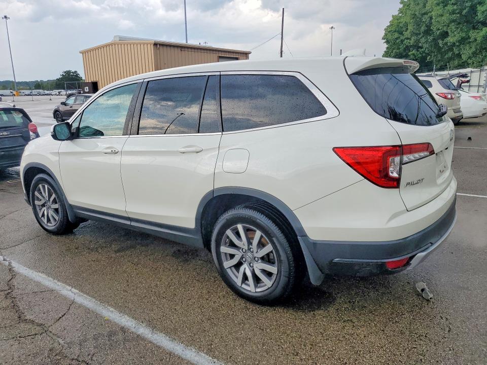 Auction sale of the 2019 Honda Pilot, vin: 5FNYF5H40KB011557, lot number: 64554996