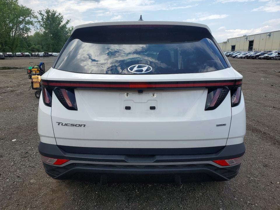 Продажа на аукционе авто 2024 Hyundai Tucson, vin: 5NMJFCDE8RH377487, номер лота: 66071906