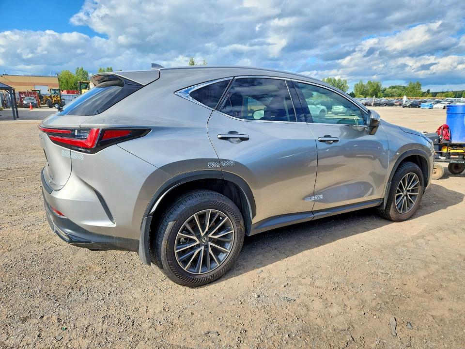 2025 Lexus Nx მანქანა იყიდება აუქციონზე, vin: 2T2GGCEZ7SC071302, აუქციონის ნომერი: 66336096