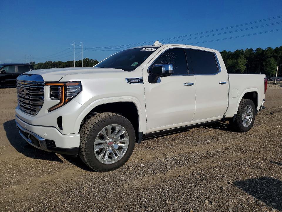 Продаж на аукціоні авто 2024 Gmc Sierra, vin: 3GTUUGE89RG205449, номер лоту: 64499736