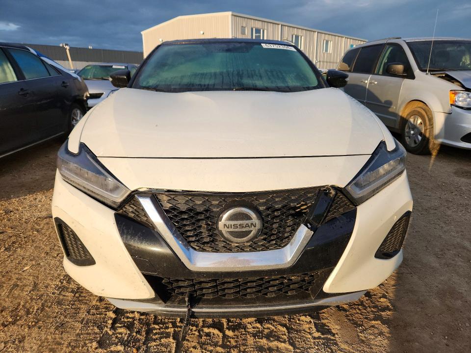 63752396 :رقم المزاد ، 1N4AA6AV3KC368999 vin ، 2019 Nissan Maxima مزاد بيع