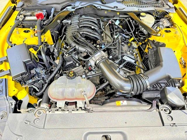 Aukcja sprzedaży 2017 Ford Mustang, vin: 1FATP8EM1H5236809, numer aukcji: 66944836