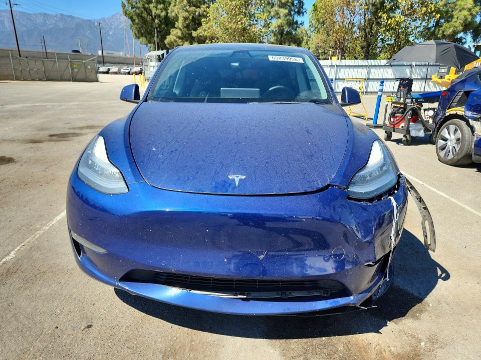 Продаж на аукціоні авто 2021 Tesla Model Y, vin: 5YJYGDEE7MF097201, номер лоту: 65839956