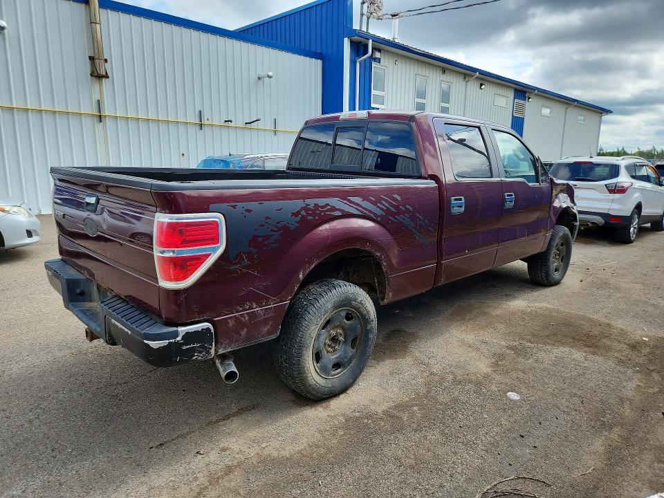 66688346 :رقم المزاد ، 1FTFW1E85AFB63982 vin ، 2010 Ford F150 مزاد بيع