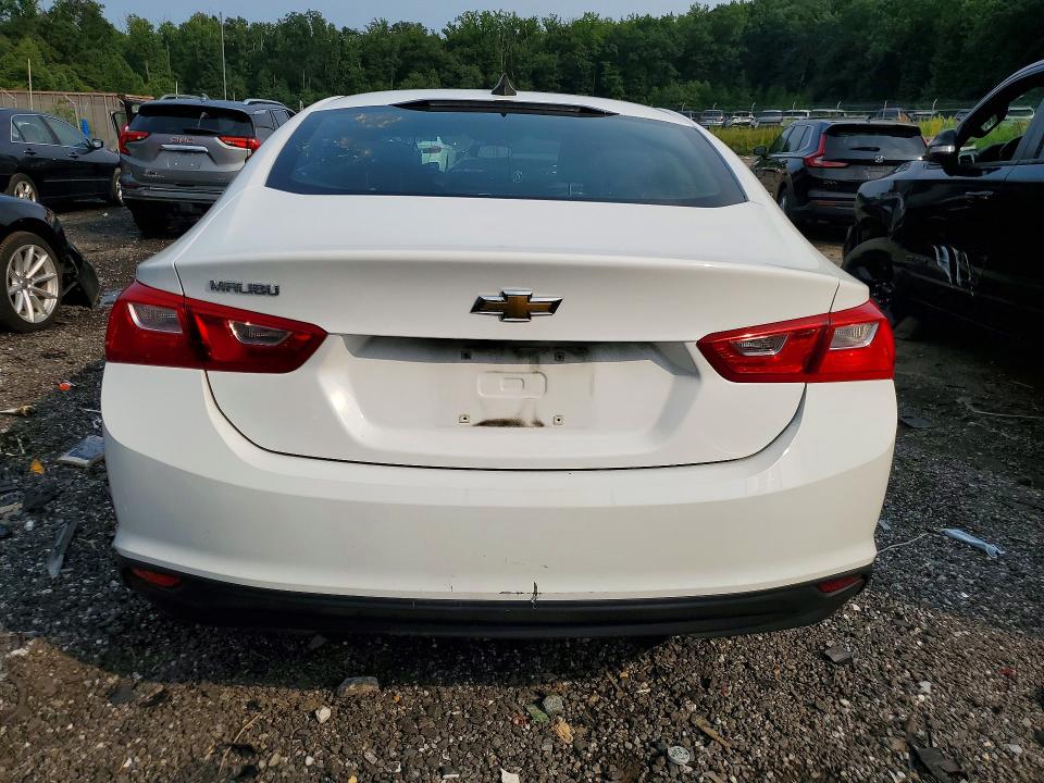 Продаж на аукціоні авто 2020 Chevrolet Malibu, vin: 1G1ZB5ST5LF156986, номер лоту: 64646986