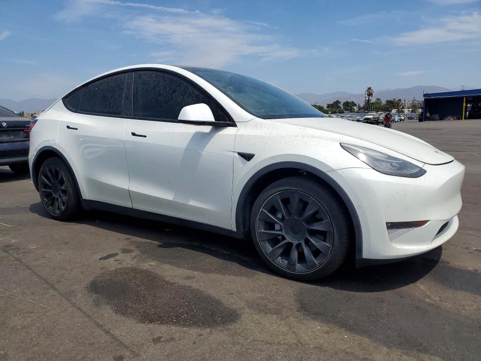65036886 :رقم المزاد ، 5YJYGDEE8MF219225 vin ، 2021 Tesla Model Y مزاد بيع