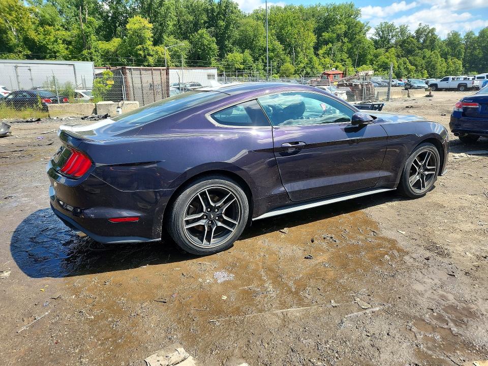 Продаж на аукціоні авто 2023 Ford Mustang, vin: 1FA6P8TH8P5101621, номер лоту: 65722916