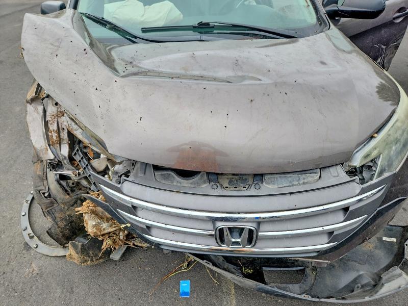Продаж на аукціоні авто 2013 Honda Cr-v, vin: 5J6RM4H30DL079489, номер лоту: 64851736