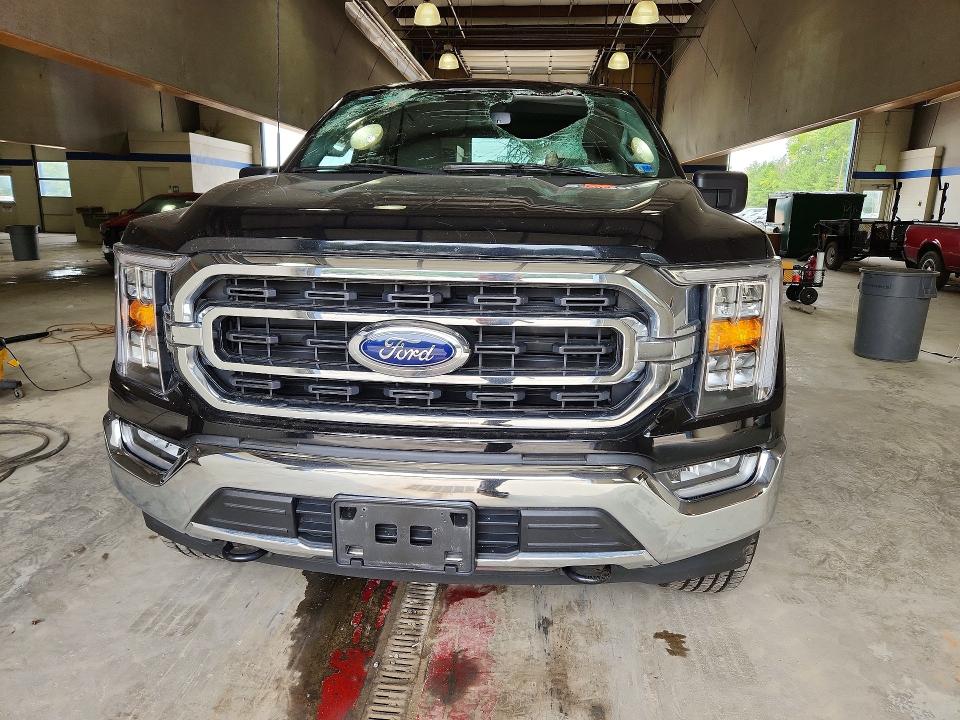 Aukcja sprzedaży 2023 Ford F150, vin: 1FTFW1E50PKF97006, numer aukcji: 66041186
