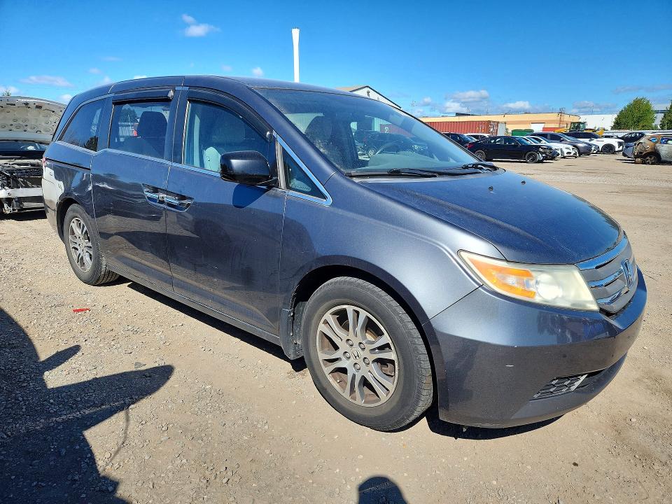 66719866 :رقم المزاد ، 5FNRL5H43DB502589 vin ، 2013 Honda Odyssey مزاد بيع