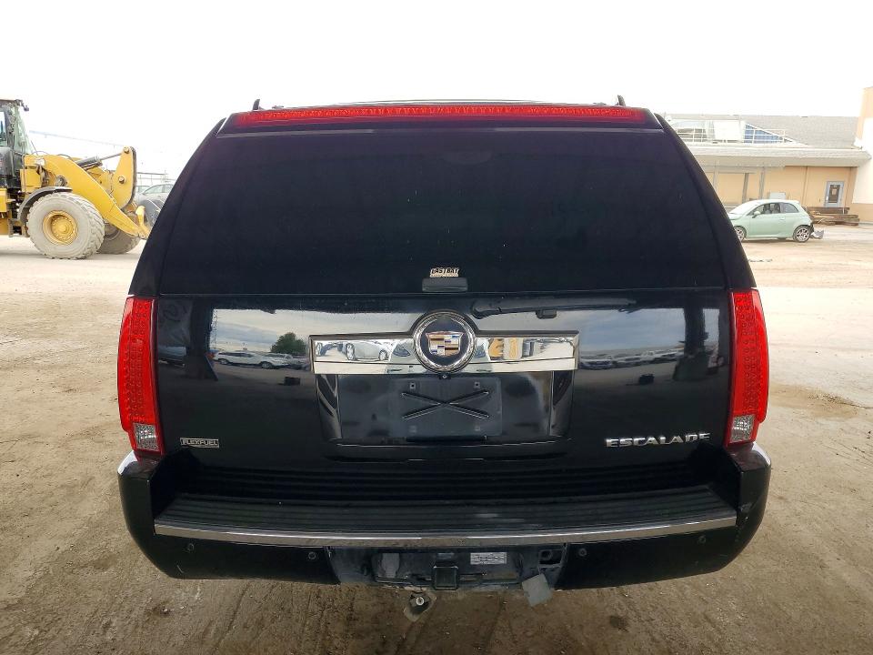 Продажа на аукционе авто 2010 Cadillac Escalade, vin: 1GYUCCEF9AR163454, номер лота: 66382726