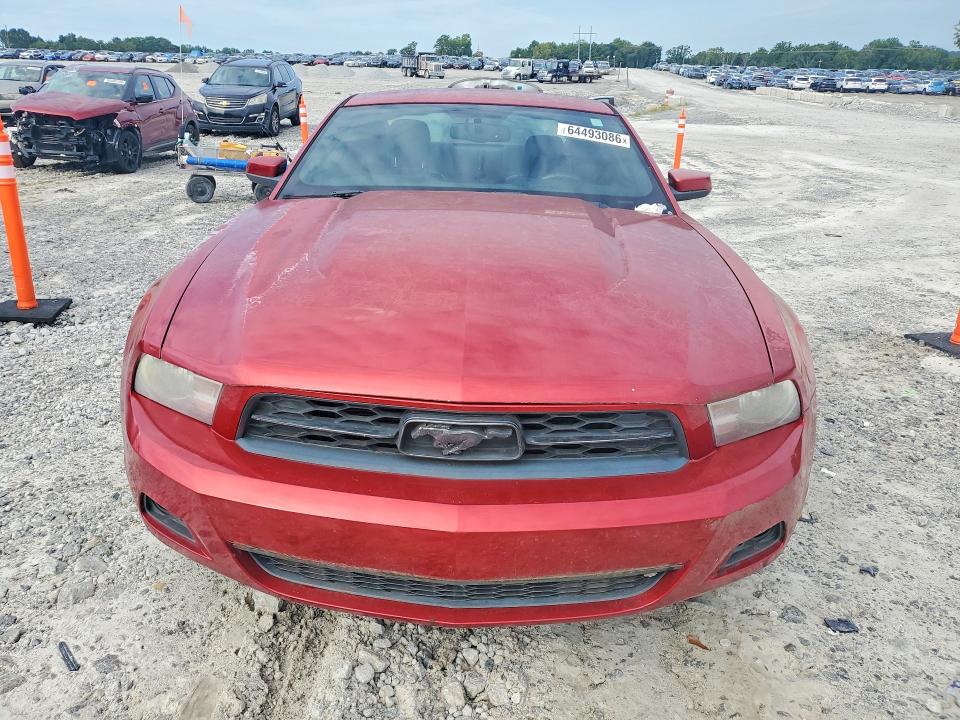 Продажа на аукционе авто 2010 Ford Mustang, vin: 1ZVBP8AN7A5123521, номер лота: 64493086