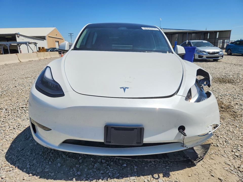 Aukcja sprzedaży 2024 Tesla Model Y, vin: 7SAYGDEE6RF164638, numer aukcji: 65542216