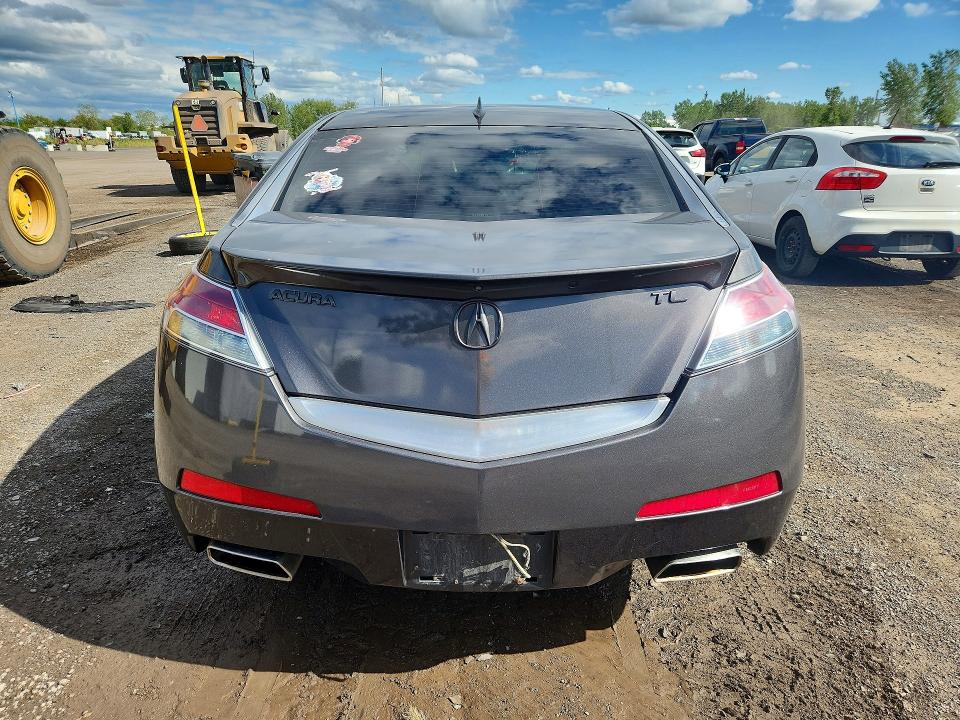 Продаж на аукціоні авто 2010 Acura Tl, vin: 19UUA8F57AA800954, номер лоту: 66905926