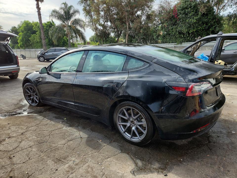 Продаж на аукціоні авто 2023 Tesla Model 3, vin: 5YJ3E1EA3PF453675, номер лоту: 66245176