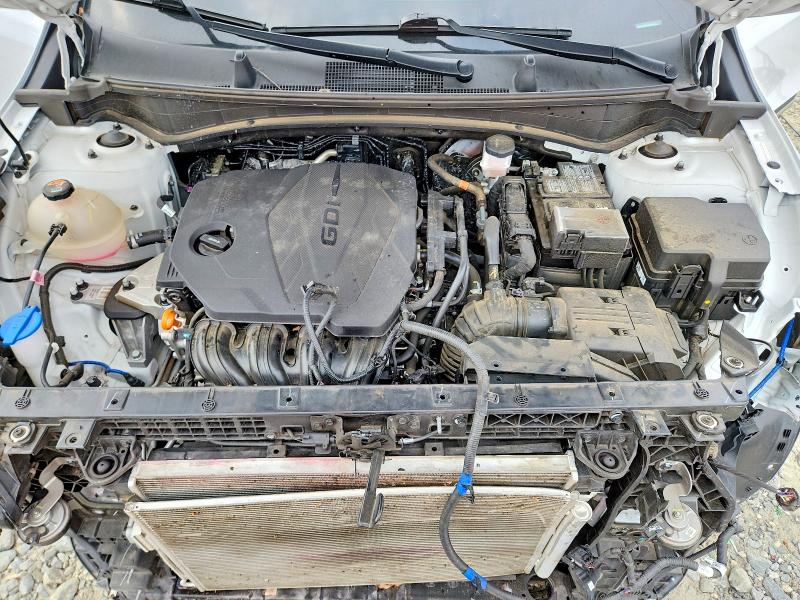 66783726 :رقم المزاد ، 5XYK33DF5RG151066 vin ، 2024 Kia Sportage مزاد بيع