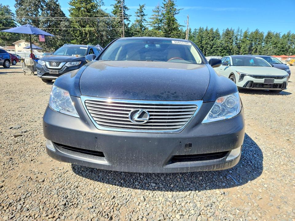 65653186 :رقم المزاد ، JTHCL46F595002414 vin ، 2009 Lexus Ls مزاد بيع
