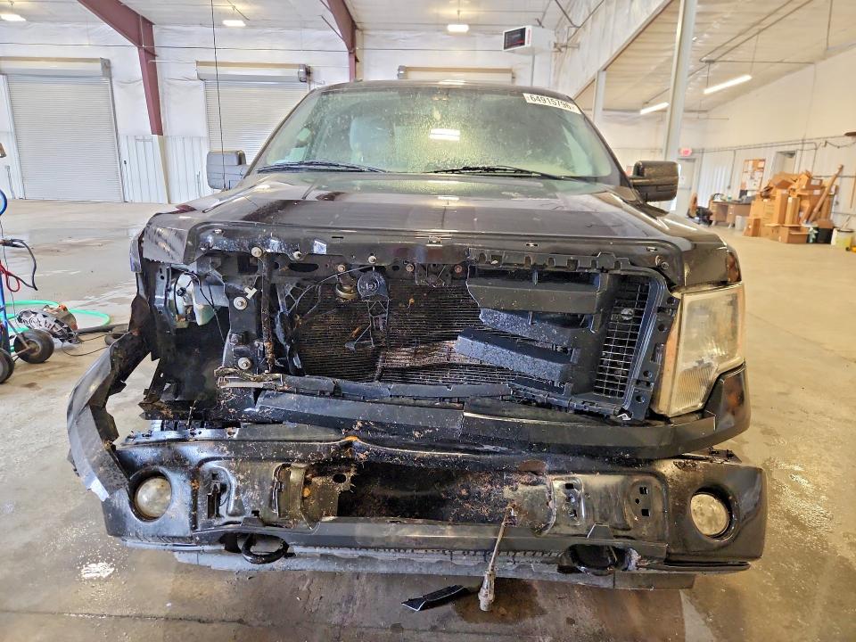 64915796 :رقم المزاد ، 1FTFX1EFXEKG49499 vin ، 2014 Ford F150 مزاد بيع