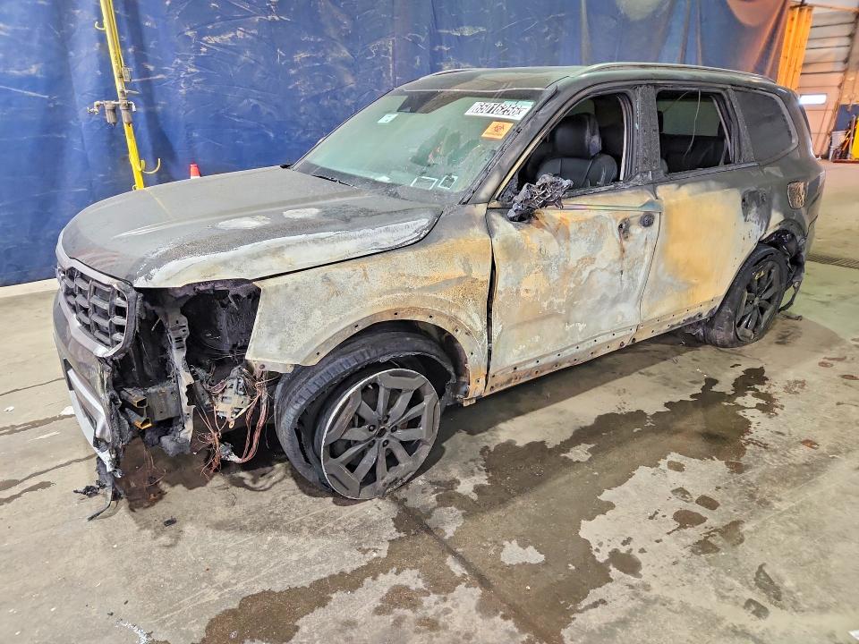 Продаж на аукціоні авто 2025 Kia Telluride, vin: 5XYP6DGC2SG687483, номер лоту: 65016256