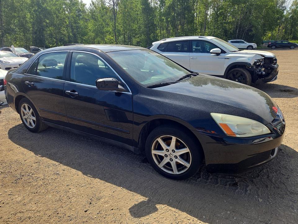Продаж на аукціоні авто 2005 Honda Accord, vin: 1HGCM66375A800156, номер лоту: 65003486