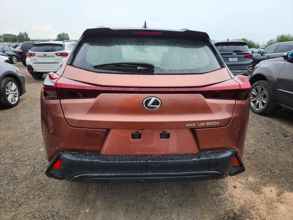 Продажа на аукционе авто 2025 Lexus Ux 300h, vin: JTHUCJDH3S2008839, номер лота: 64462236