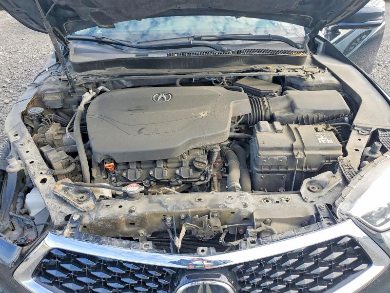 Продаж на аукціоні авто 2020 Acura Tlx, vin: 19UUB3F85LA801887, номер лоту: 65118526