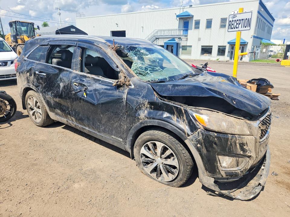 64551446 :رقم المزاد ، 5XYPHDA55GG009841 vin ، 2016 Kia Sorento مزاد بيع
