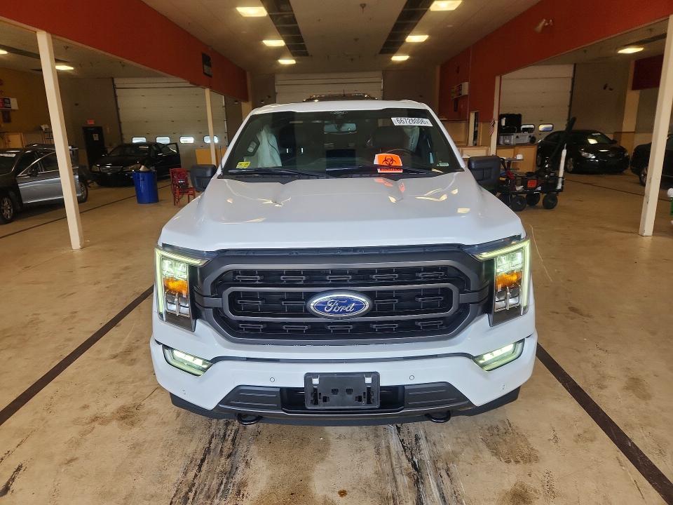 Продаж на аукціоні авто 2021 Ford F150, vin: 1FTEW1EP8MFC15208, номер лоту: 66728006