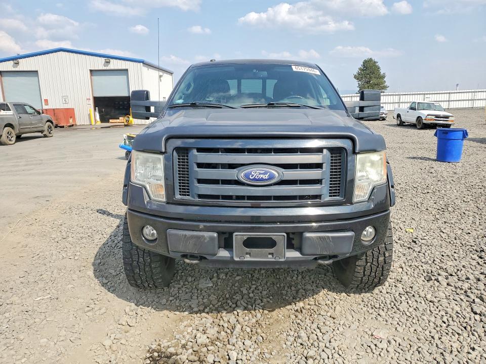 65175946 :رقم المزاد ، 1FTFW1EV1AKB37084 vin ، 2010 Ford F150 مزاد بيع