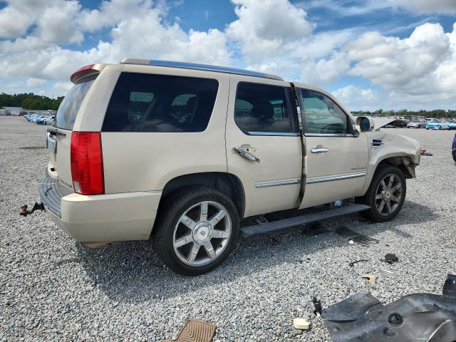 Продаж на аукціоні авто 2009 Cadillac Escalade, vin: 1GYFK23279R131331, номер лоту: 64263626