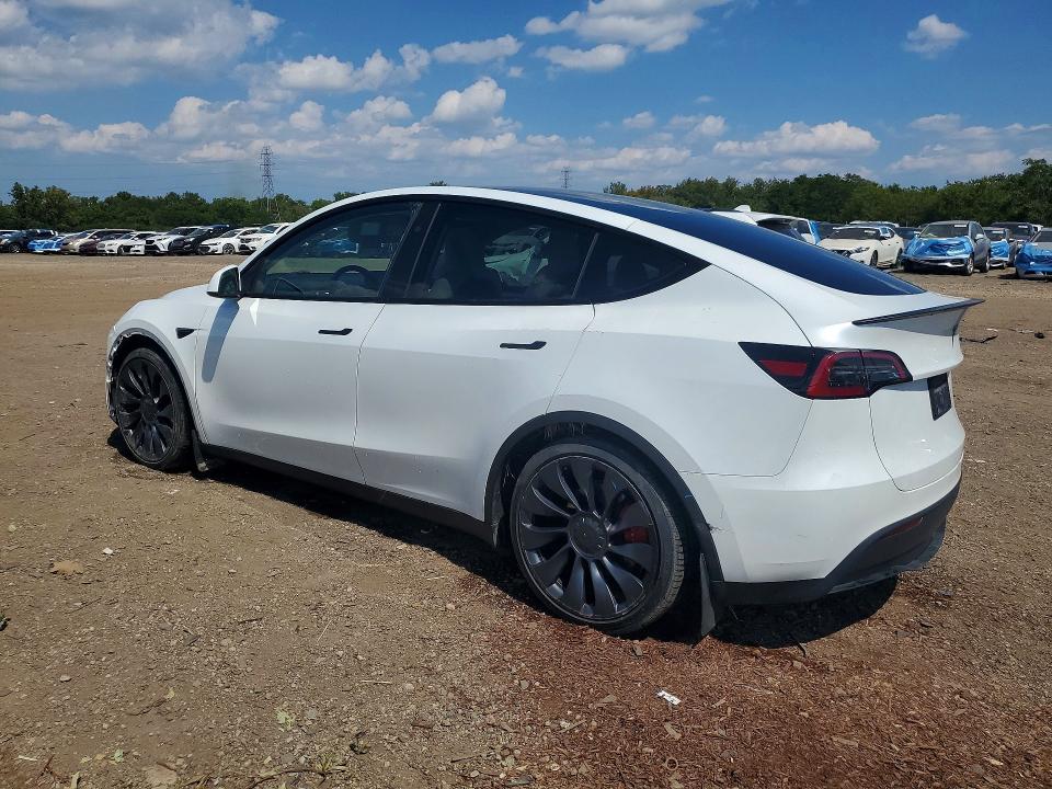 Aukcja sprzedaży 2024 Tesla Model Y, vin: 7SAYGDEF3RA299243, numer aukcji: 66819456