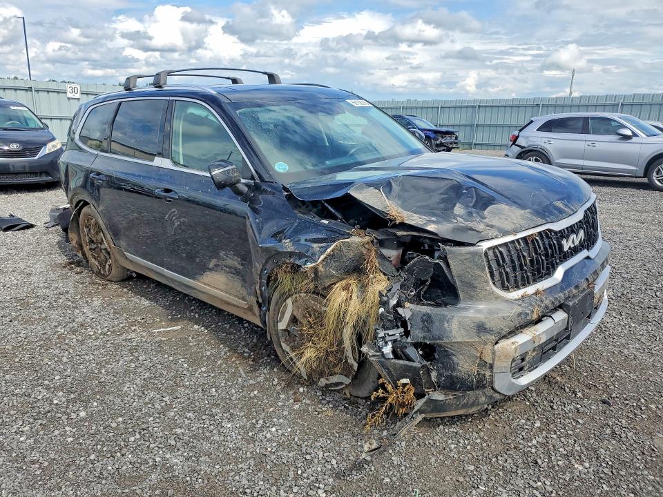Продаж на аукціоні авто 2023 Kia Telluride, vin: 5XYP3DGC0PG351850, номер лоту: 66138376