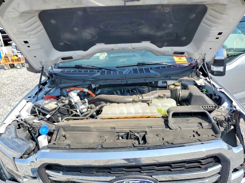 Продаж на аукціоні авто 2024 Ford F150, vin: 1FTFW5LD9RFB04758, номер лоту: 64633716