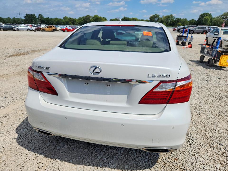 66525476 :رقم المزاد ، JTHBL5EF0A5092031 vin ، 2010 Lexus Ls مزاد بيع