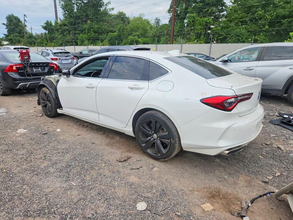 Продажа на аукционе авто 2021 Acura Tlx, vin: 19UUB5F41MA012002, номер лота: 65565986